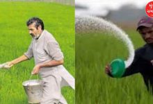 Government clarifies on reports of fertilizer shortage in Gujarat; says 2.08 lakh MT of urea available