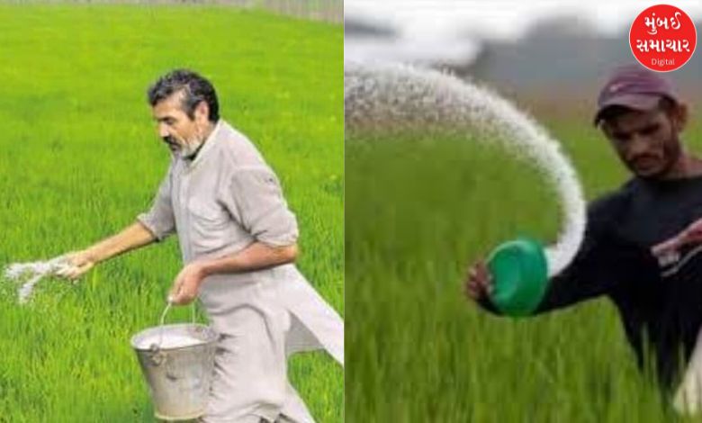 Government clarifies on reports of fertilizer shortage in Gujarat; says 2.08 lakh MT of urea available