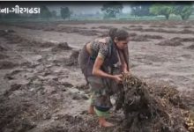 ઊના-ગીરગઢડામાં 'લીલો દુષ્કાળ': રાવલ ડેમના ત્રણ દરવાજા ખોલાતા જળબંબાકાર, 16 ગામો અસરગ્રસ્ત