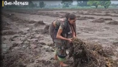 ઊના-ગીરગઢડામાં 'લીલો દુષ્કાળ': રાવલ ડેમના ત્રણ દરવાજા ખોલાતા જળબંબાકાર, 16 ગામો અસરગ્રસ્ત