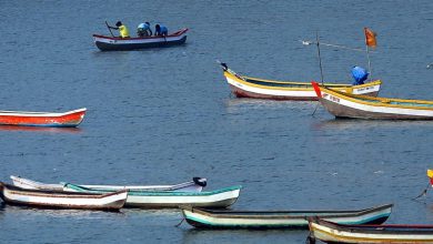ગુજરાતનો દરિયાઈ માર્ગ બન્યો 'આંતરરાષ્ટ્રીય ગેટવે': હજીરા અને પીપાવાવ પોર્ટ હવે ઇમિગ્રેશન ચેકપોસ્ટ! નવી દિલ્હીઃ કેન્દ્રીય ગૃહ મંત્રાલયે તેના અગાઉના ઇમિગ્રેશન અને ફોરેનર્સ એક્ટ, 2025 હેઠળની અધિસૂચનામાં સુધારો કરીને, કેરળમાં વિઝિન્ઝામ ઇન્ટરનેશનલ સીપોર્ટ, ગુજરાતમાં હજીરા પોર્ટ અને ગુજરાતમાં પીપાવાવ પોર્ટ - આ ત્રણ નવા બંદરોને સત્તાવાર રીતે નિયુક્ત ઇમિગ્રેશન ચેકપોસ્ટ તરીકે જાહેર કર્યા હતા.