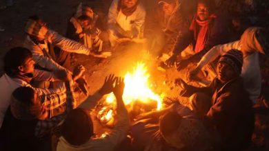 શિયાળાની શરૂઆત! માવઠા બાદ પારો ગગડ્યો, અનેક શહેરોમાં ૨૦°C થી નીચું તાપમાન