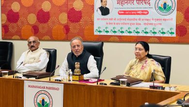 ગુજરાત સરકાર હાઈવે અને રેલવે ટ્રેક નજીક ગ્રીન કવર વધારશે