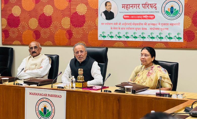 ગુજરાત સરકાર હાઈવે અને રેલવે ટ્રેક નજીક ગ્રીન કવર વધારશે