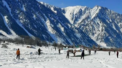 હિમાચલ અને જમ્મુ કાશ્મીરમાં ઠંડીનો ચમકારો, ઝારખંડ અને પશ્ચિમ બંગાળના શીત લહેરની આગાહી