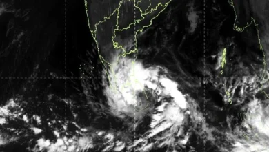દક્ષિણમાં 'દિત્વા'નું સંકટ: તમિલનાડુ, આંધ્રમાં આજે અને કાલે અતિભારે વરસાદનું એલર્ટ!
