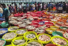 ભારતીય સી-ફૂડ કંપનીઓના શેરના ભાવમાં ઉછાળો