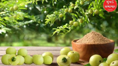 Is Amla really a 'superfood' for everyone? These people should not consume Amla even by mistake