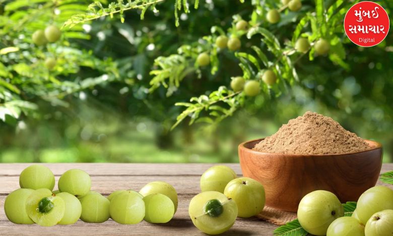 Is Amla really a 'superfood' for everyone? These people should not consume Amla even by mistake