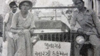 જૂનાગઢનો 78મો આઝાદી દિવસ: કઈ રીતે ભુટ્ટો, જિન્ના અને પાકિસ્તાનની મેલી મુરાદ પર ફેરવાયું પાણી? અને આઝાદ થયું જૂનાગઢ