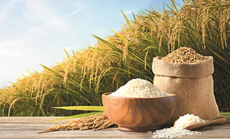 ખરીફ મોસમમાં વિક્રમ ચોખા ઉત્પાદન અને કઠોળ-તેલીબિયાંના ઘટેલા ઉત્પાદન દર્શાવતો ભારતીય પાકનો ગ્રાફિક.