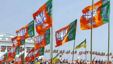 મહારાષ્ટ્રમાં ભાજપે એક જ પરિવાર છ સભ્યોને ઉમેદવાર બનાવ્યા; અજિત પવાર જૂથના નેતા નારાજ