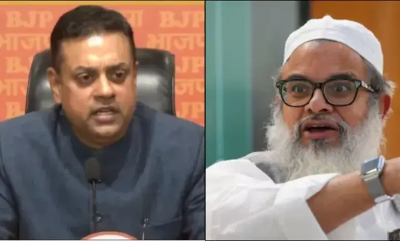 મહમૂદ મદનીના નિવેદન પર ભાજપનો પલટવાર, કહ્યું નિવેદન ઉશ્કેરણીજનક અને વિભાજનકારી