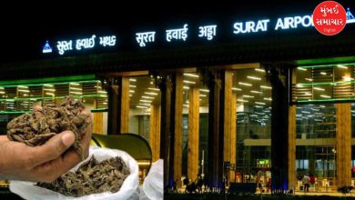 સુરત એરપોર્ટ પરથી ₹1.42 કરોડનો 4 કિલો હાઈબ્રિડ ગાંજાનો જથ્થો પકડાયો: ડ્રગ્સ કબજે કરતી સુરક્ષા એજન્સીઓ.