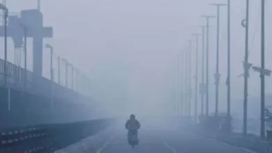 ગુજરાતના કેટલાક વિસ્તારોમાં અત્યારે ઠંડી પડવાની શરૂઆત થઈ ગઈ છે. પર્વતો પરથી ફૂંકાતા શીત પવનોના કારણે ઉત્તર ભારતના અનેક રાજ્યોમાં લઘુત્તમ તાપમાન ઘટી