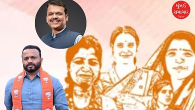 મુખ્યમંત્રી માઝી લાડકી બહિણ યોજનાના લાભાર્થીઓને સંબોધતા મંત્રી જયકુમાર ગોરેની ચૂંટણી રેલીનો ફોટો, જ્યાં તેમણે દેવેન્દ્ર ફડણવીસને વફાદાર રહેવા અને ₹1,500નું સ્ટાઇપેન્ડ યાદ રાખવા કહ્યું.