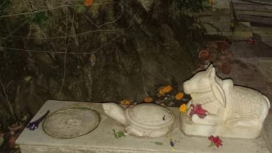 In Navsari, the thief first rang the bell, bowed down, and then left the Shivling in the car and fled!