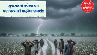 ગુજરાતમાં આ વર્ષે નવેમ્બર 'ભીનો' રહેશે: હવામાન વિભાગની આગાહી