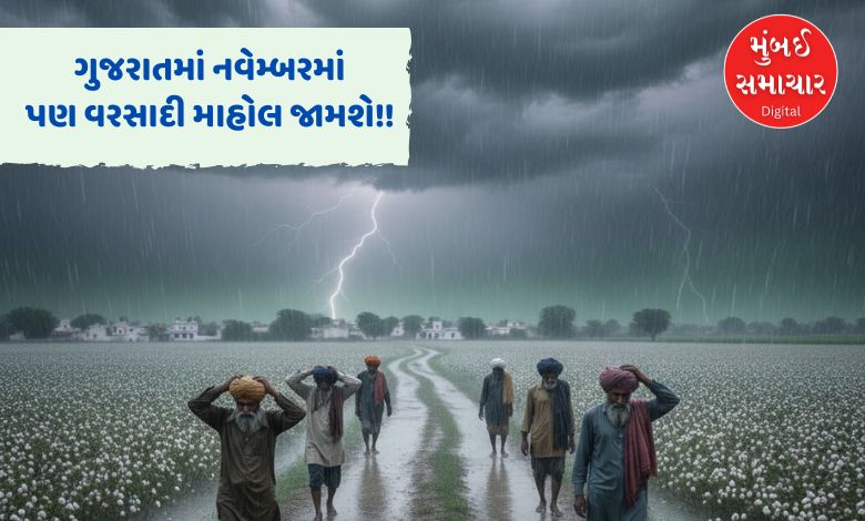 ગુજરાતમાં આ વર્ષે નવેમ્બર 'ભીનો' રહેશે: હવામાન વિભાગની આગાહી