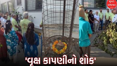 ahmedabad science city road extremely rare vermilion tree funeral ceremony