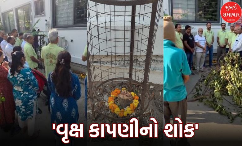 ahmedabad science city road extremely rare vermilion tree funeral ceremony