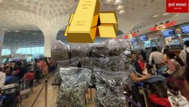 Marijuana worth Rs 18 crore, gold worth Rs 25.64 lakh seized at Mumbai airport...