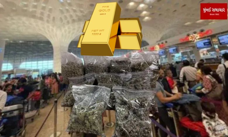 Marijuana worth Rs 18 crore, gold worth Rs 25.64 lakh seized at Mumbai airport...