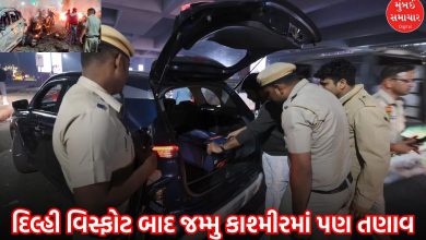 Jammu Kashmir High alert after Delhi blast security tightened