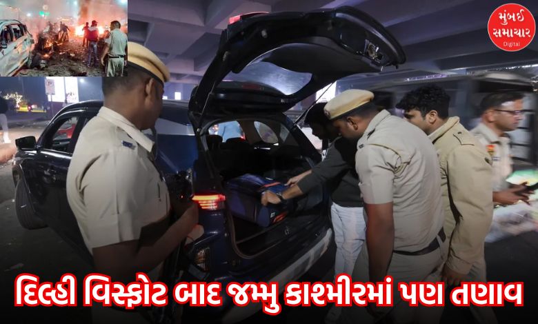 Jammu Kashmir High alert after Delhi blast security tightened