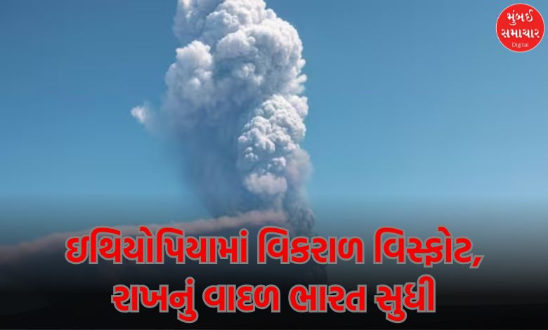 Ethiopian volcano ash reaches Delhi, severely impacts air travel