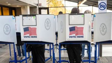 Indian-Origin Candidates Shine in US Elections