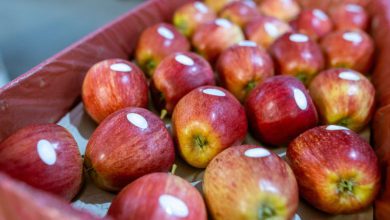 What is the meaning of the stickers on fruits? 99 percent of people don't know, if you know, you will be at an advantage...