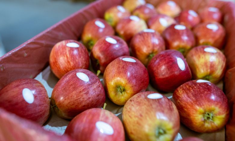 What is the meaning of the stickers on fruits? 99 percent of people don't know, if you know, you will be at an advantage...