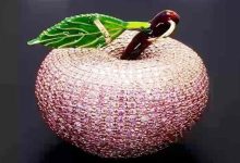 Millionaire Apple: A crowd gathered to see the 10 crore apple, know its special features!