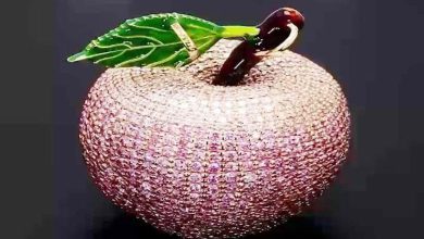 Millionaire Apple: A crowd gathered to see the 10 crore apple, know its special features!