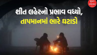 Cold wave hits Gujarat again, know where and how much temperature was recorded