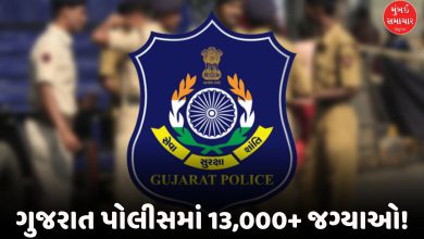 પોલીસ બનવાનું સપનું થશે સાકાર! PSI અને LRDની 13 હજારથી વધુ જગ્યાઓ પર ભરતી જાહેર, અહીં જુઓ સંપૂર્ણ વિગતો.