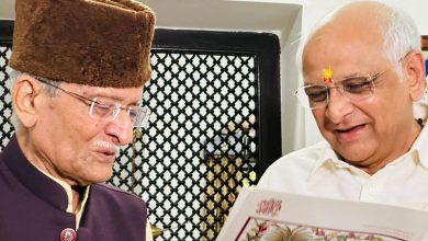 લોકસંસ્કૃતિના ધબકાર શાંત! પદ્મશ્રી જોરાવરસિંહ જાદવનું ૮૫ વર્ષની વયે નિધન, ગુજરાતે એક 'વિરાસત' ગુમાવી