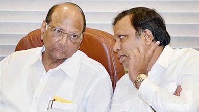 મુંબઈ ક્રિકેટ ઍસોસિયેશનની ચૂંટણીમાં પવાર-શેલારની જોડી વિજેતા, વર્ચસ્વ જાળવી રાખ્યું