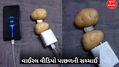 બટેટાં અને ₹10ના સિક્કાથી મોબાઈલ ચાર્જ કરવાનો વીડિયો સોશિયલ મીડિયા પર વાઈરલ, જાણી લો સચ્ચાઈ...