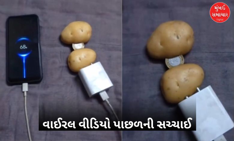બટેટાં અને ₹10ના સિક્કાથી મોબાઈલ ચાર્જ કરવાનો વીડિયો સોશિયલ મીડિયા પર વાઈરલ, જાણી લો સચ્ચાઈ...