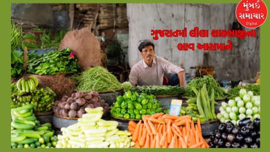 Prices of green vegetables skyrocket in Gujarat, increase by 30 to 40 percent