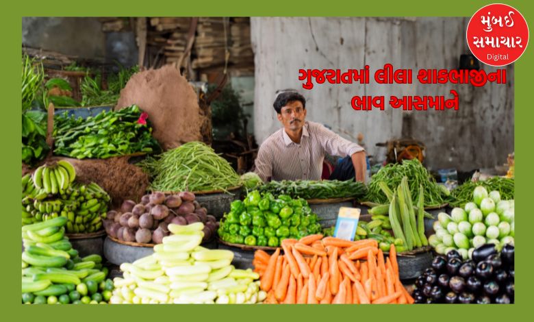 Prices of green vegetables skyrocket in Gujarat, increase by 30 to 40 percent