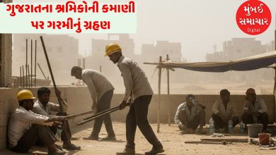ગરમીનો માર: અમદાવાદ-સુરતમાં શ્રમિકોની ઉત્પાદકતા 10 ટકા ઘટી, અભ્યાસમાં ચિંતાજનક ખુલાસો