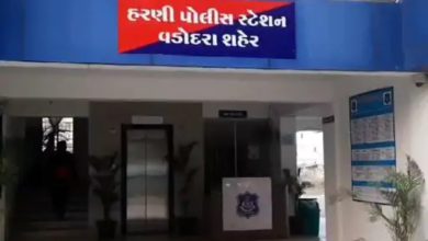 લિફ્ટ આપી, લૂંટ ખાઈ! વડોદરામાં MPથી આવતા પ્રોફેસરને નશીલો પદાર્થ સૂંઘાડી ₹4 લાખથી વધુની લૂંટ