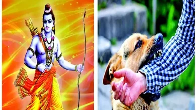 ગુજરાતી, મરાઠી કહેવતોની સમાનતા દર્શાવતો ફોટો અને સાથે હિંગ્લિશ ભાષાના ઉદાહરણો.