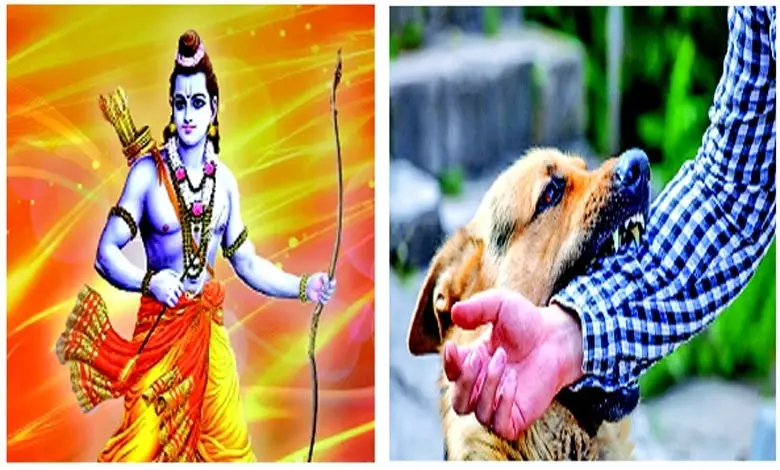 ગુજરાતી, મરાઠી કહેવતોની સમાનતા દર્શાવતો ફોટો અને સાથે હિંગ્લિશ ભાષાના ઉદાહરણો.