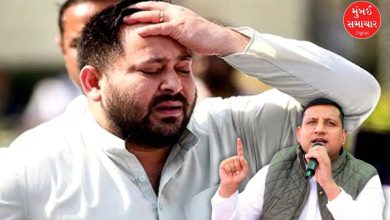 તેજસ્વી યાદવના મુખ્ય સલાહકાર સંજય યાદવ અને RJDના ચૂંટણી પ્રચારની નિષ્ફળતા.