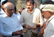 કમોસમી વરસાદથી પાકને ભારે નુકસાન: રાહત પેકેજની જાહેરાત છતાં સહાયની રકમ ઘટાતા ખેડૂતોમાં રોષ