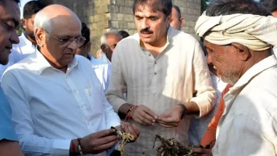 કમોસમી વરસાદથી પાકને ભારે નુકસાન: રાહત પેકેજની જાહેરાત છતાં સહાયની રકમ ઘટાતા ખેડૂતોમાં રોષ